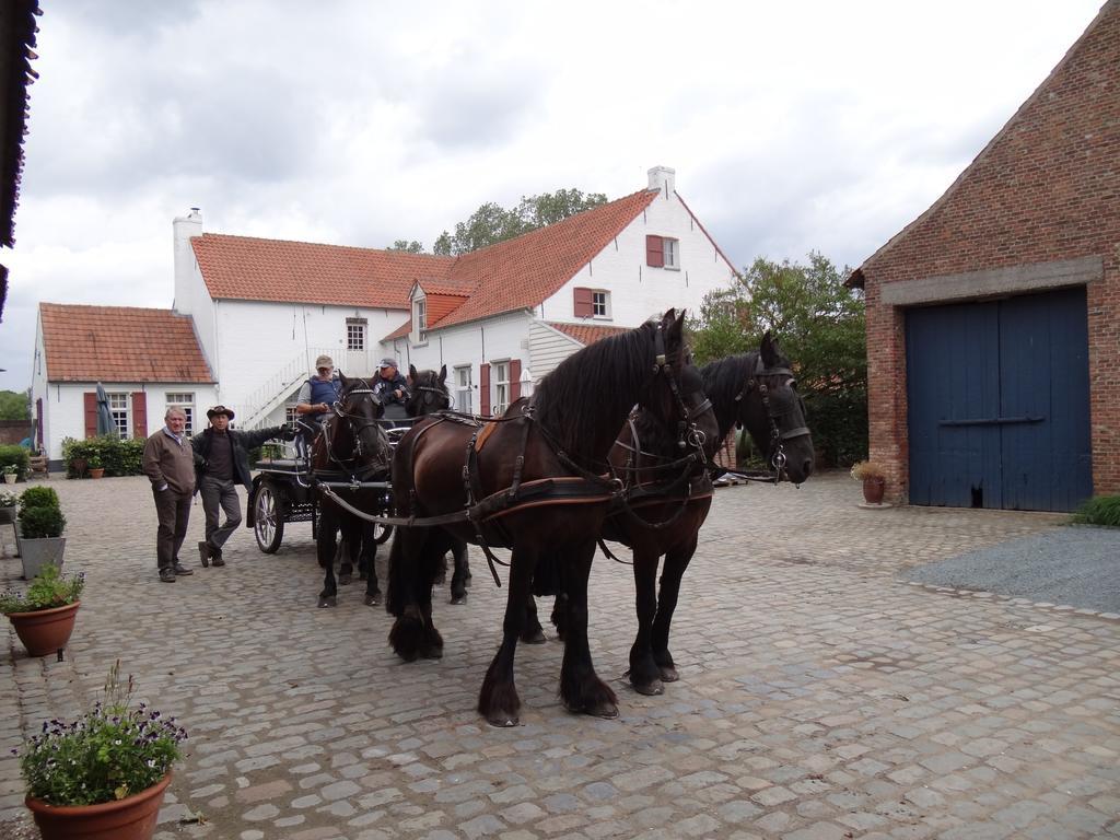 Bed & Breakfast Hullebrug Heist-op-den-Berg
